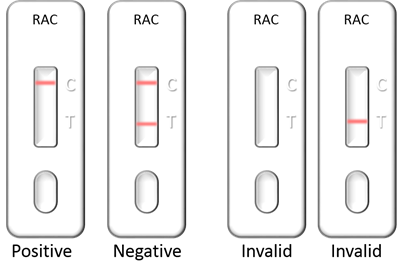 RAC(Ractopamine) Lateral Flow Rapid Test Kit (Urine, Tissue)