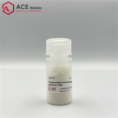 Trypsin powder from bovine pancreas (1:250)