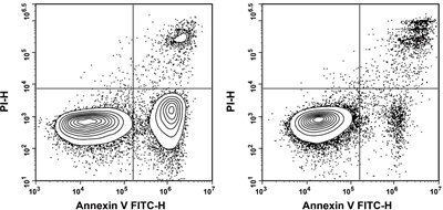 Annexin V-FITC/PI Apoptosis Detection kit