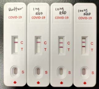 Environmental COVID-19 (SARS-CoV-2) RBD Antigen Rapid Detection Kit (Colloidal Gold-Based)