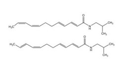 Dodeca 2E,4E,8Z,10E,Z-tetraenoic acid isobutylamide
