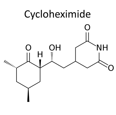 Cycloheximide