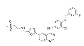Lapatinib