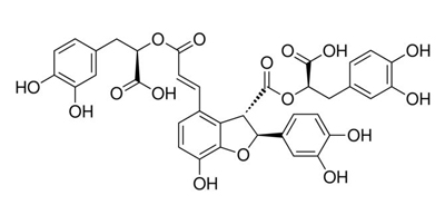 Salvianolic acid B