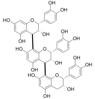 Procyanidin C1