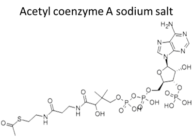 Acetyl coenzyme A sodium salt