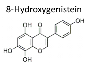 8-Hydroxygenistein