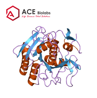 <span style="font-family:Trebuchet MS,Helvetica,sans-serif;"><span style="font-size:18px;"><strong>Proteinase K, PCR Grade</strong></span></span>