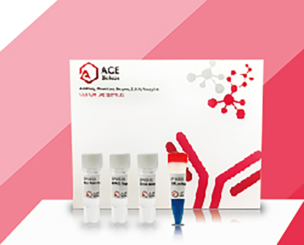 ACExtract™ Plasmid Mini Kit, Endo-free