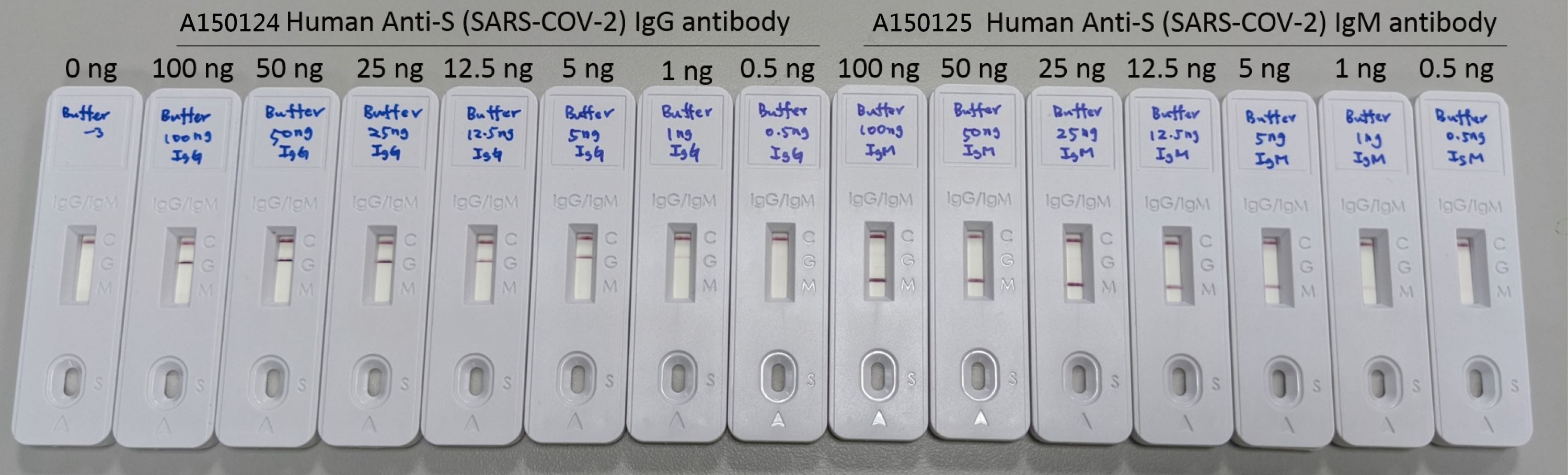 ACE COVID-19 IgG / IgM Dual Detection Kit