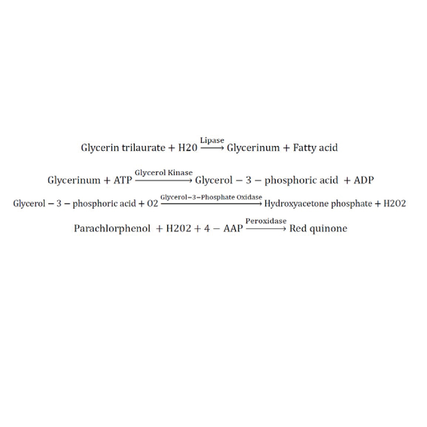 Triglyceride (TG) Colorimetric Assay Kit