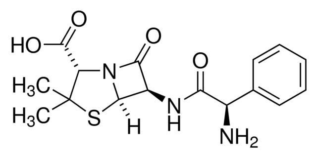 Ampicillin