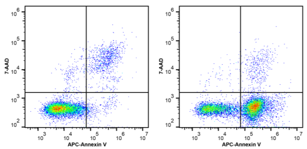 7-Aminoactinomycin D (7-AAD) Viability Staining Solution