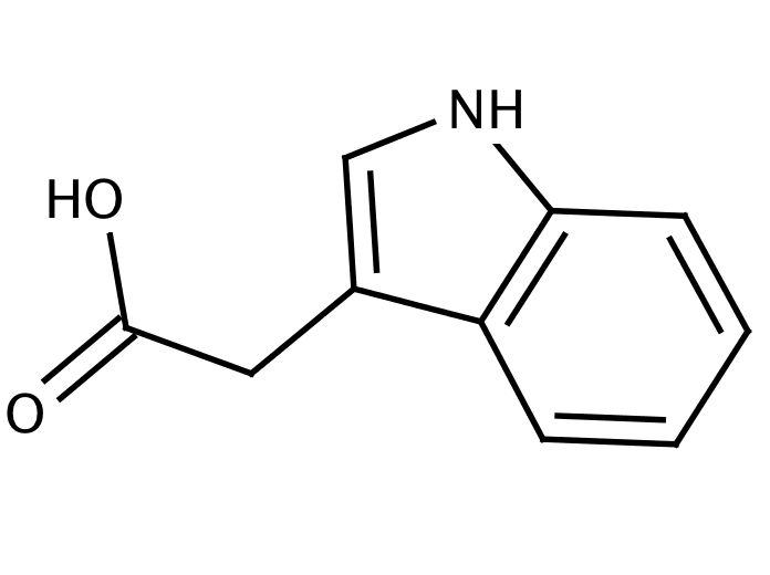 Indole-3-Acetic Acid (IAA)