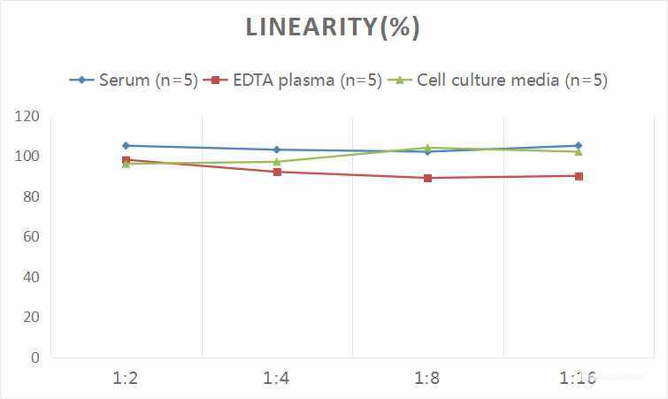 Human IFNγ(Interferon Gamma) ELISA Kit