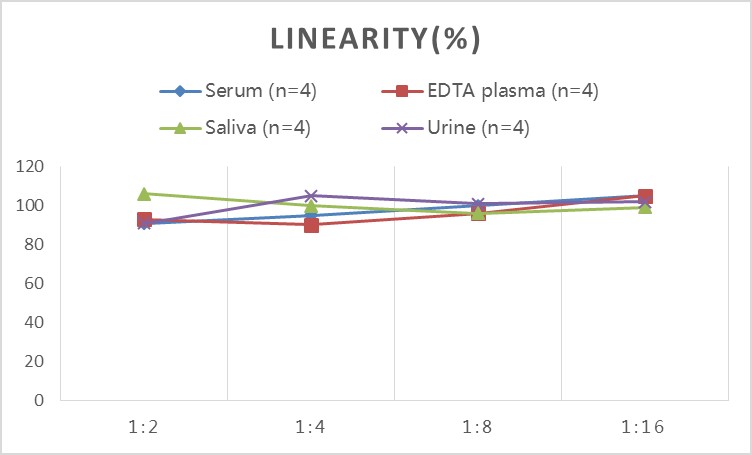 StepSkip™ Human CLU(Clusterin) ELISA Kit