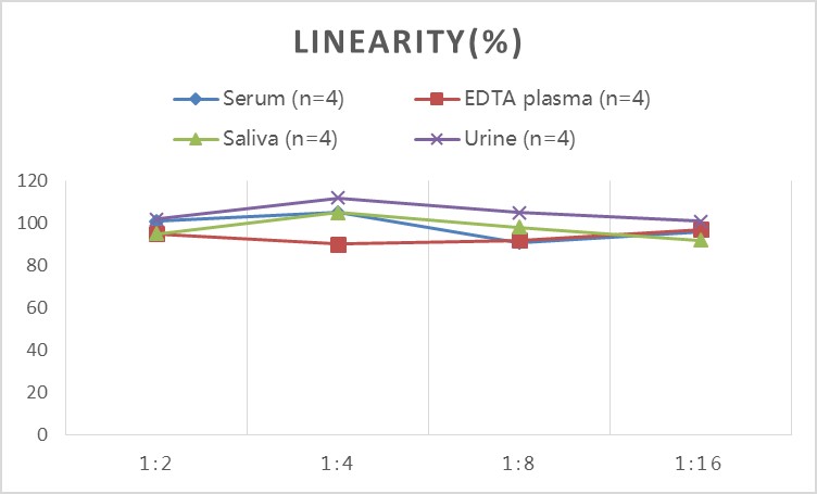 StepSkip™ Human Cys-C(Cystatin C) ELISA Kit