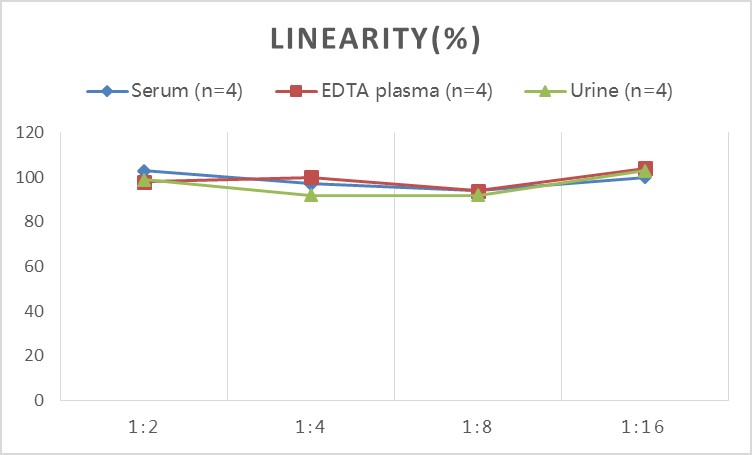 StepSkip™ Human PCT(Procalcitonin) ELISA Kit