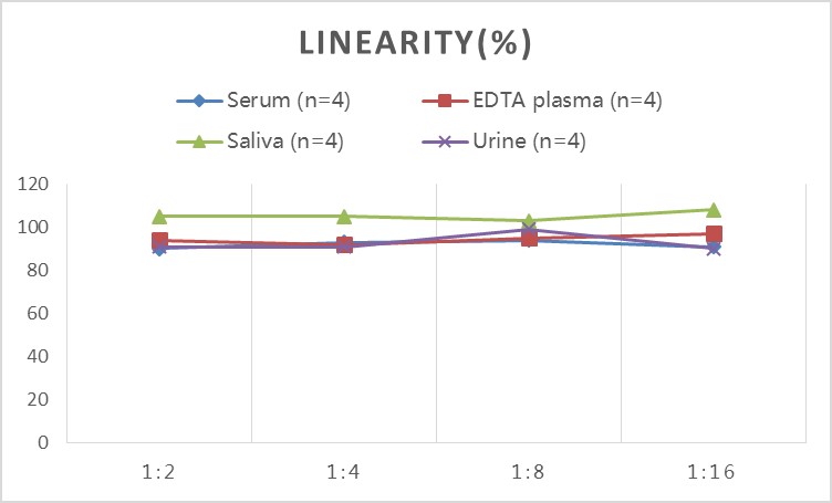 StepSkip™ Human IgG(Immunoglobulin G) ELISA Kit