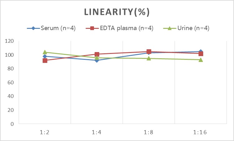 StepSkip™ Human RBP4(Retinol Binding Protein 4) ELISA Kit