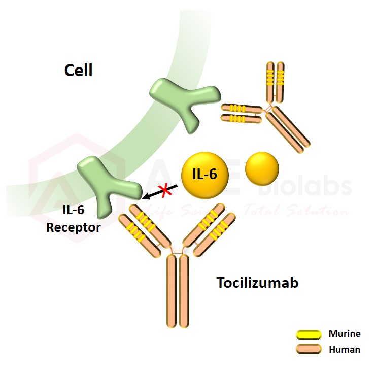 anti-IL-6R (Tocilizumab)