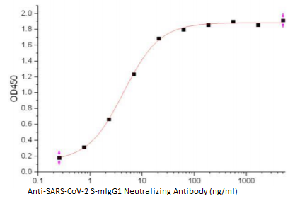 Anti-SARS-CoV-2 S-mIgG1 Neutralizing Antibody