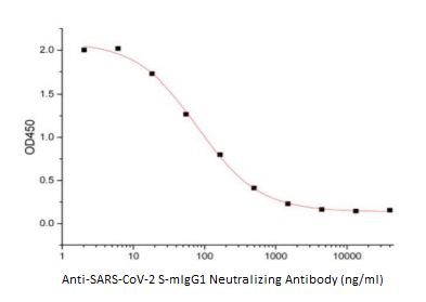 Anti-SARS-CoV-2 S-mIgG1 Neutralizing Antibody