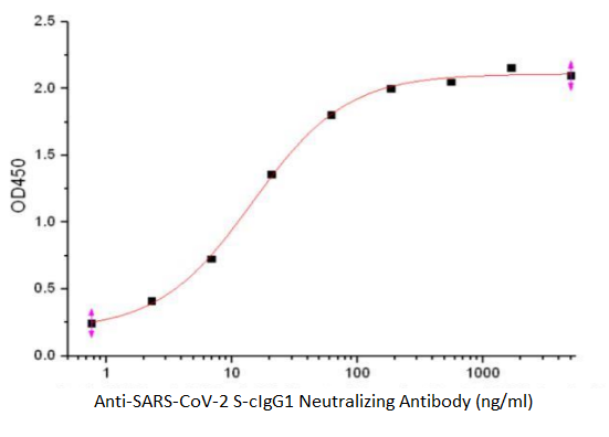 Anti-SARS-CoV-2 S-cIgG1 Neutralizing Antibody