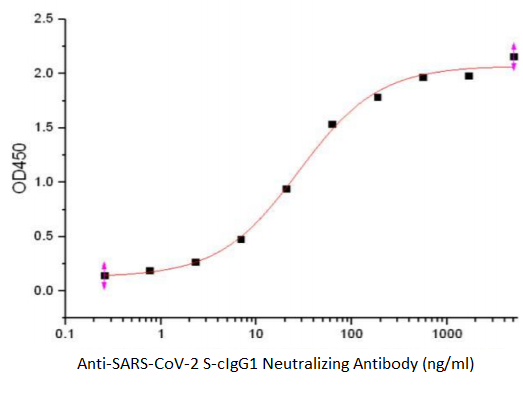 Anti-SARS-CoV-2 S-cIgG1 Neutralizing Antibody