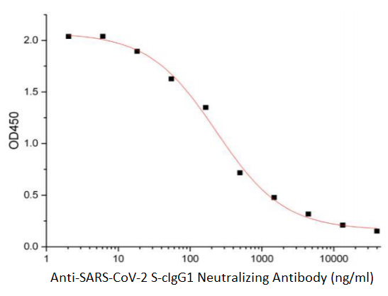 Anti-SARS-CoV-2 S-cIgG1 Neutralizing Antibody