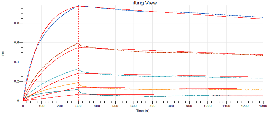 Anti-SARS-CoV-2 S-hIgG1 Neutralizing Antibody