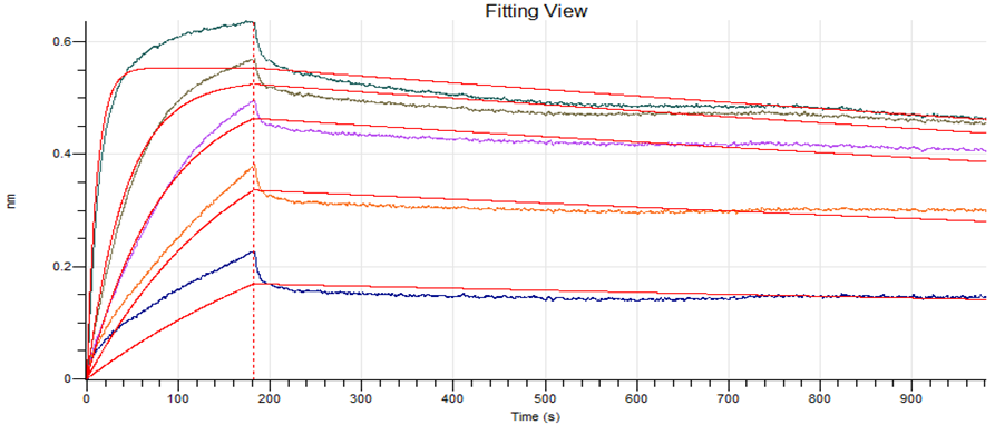 Anti-SARS-CoV-2 S-hIgG1 Neutralizing Antibody