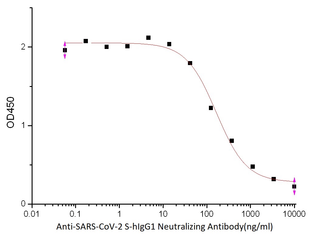 Anti-SARS-CoV-2 S-hIgG1 Neutralizing Antibody