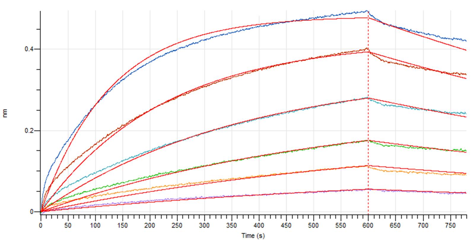 Anti-SARS-CoV-2 S-hIgG1 Neutralizing Antibody