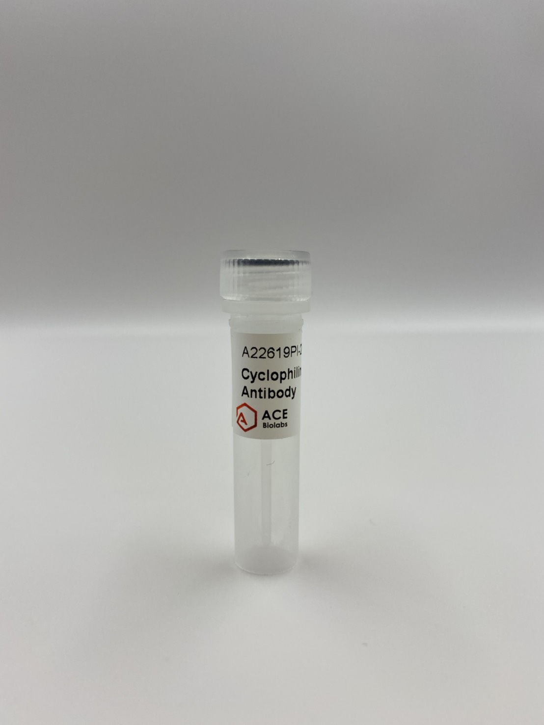 Cyclophilin D Polyclonal Antibody