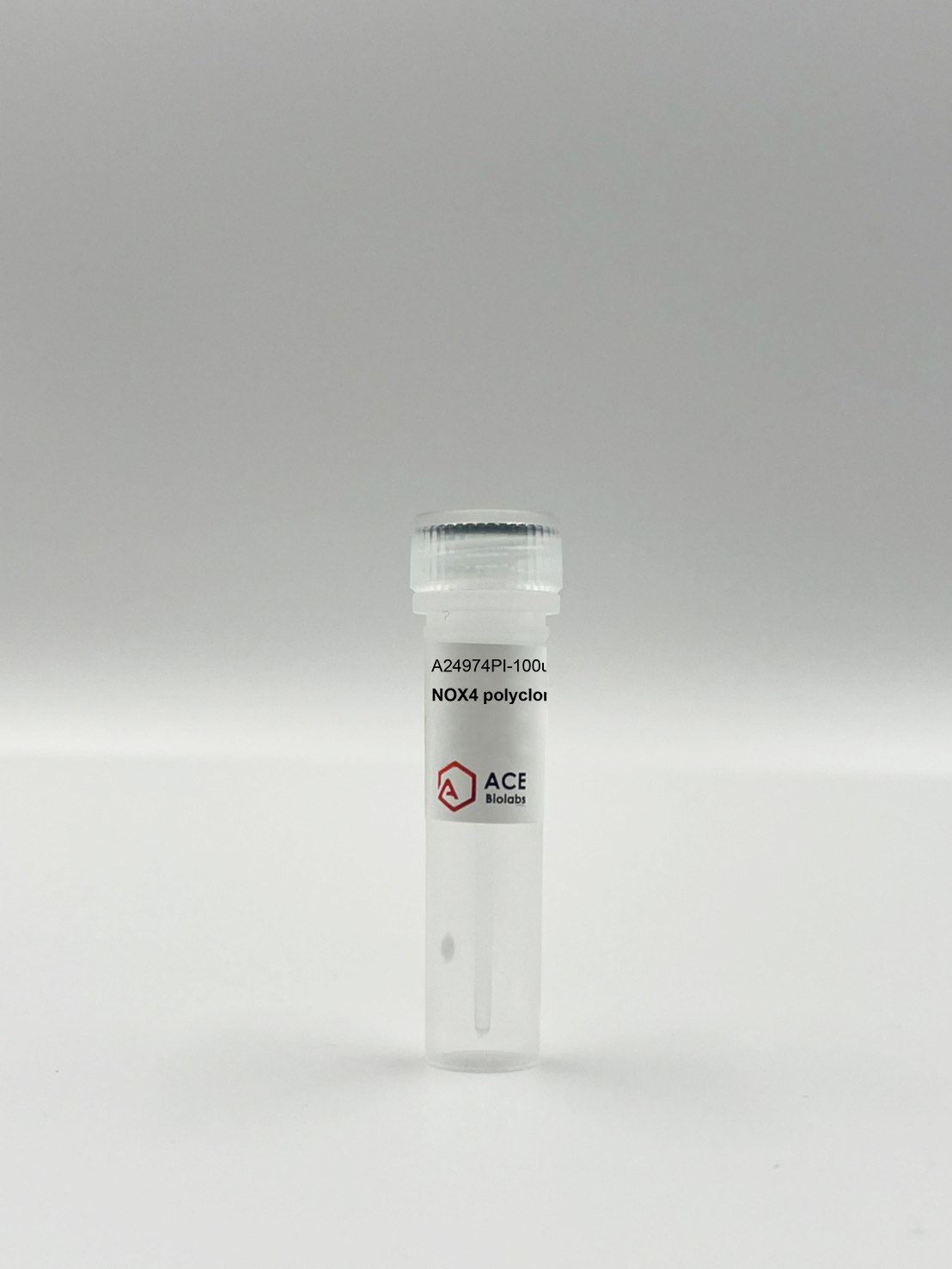 NOX4 Polyclonal Antibody