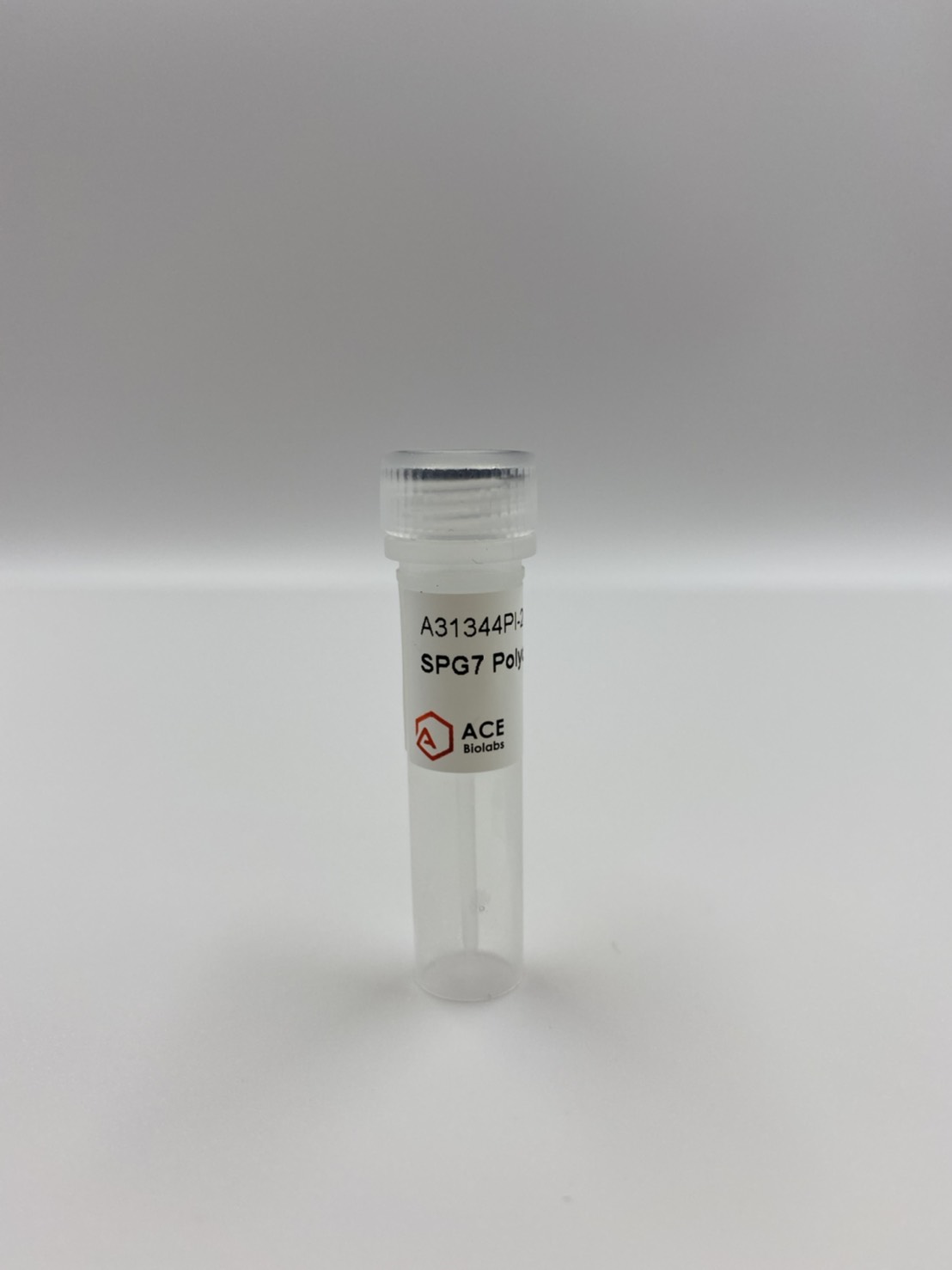 SPG7 Polyclonal Antibody