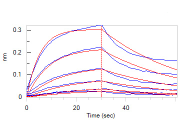 Recombinant Human Interleukin 6(IL6) Protein