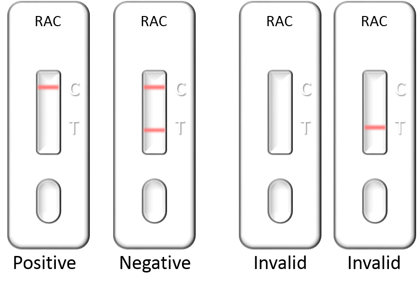 RAC(Ractopamine) Lateral Flow Rapid Test Kit (Urine, Tissue)