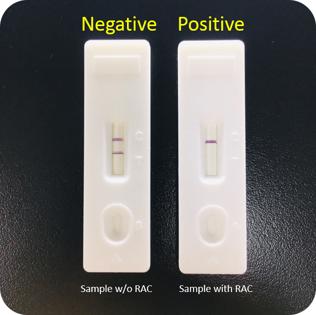 RAC(Ractopamine) Lateral Flow Rapid Test Kit (Urine, Tissue)