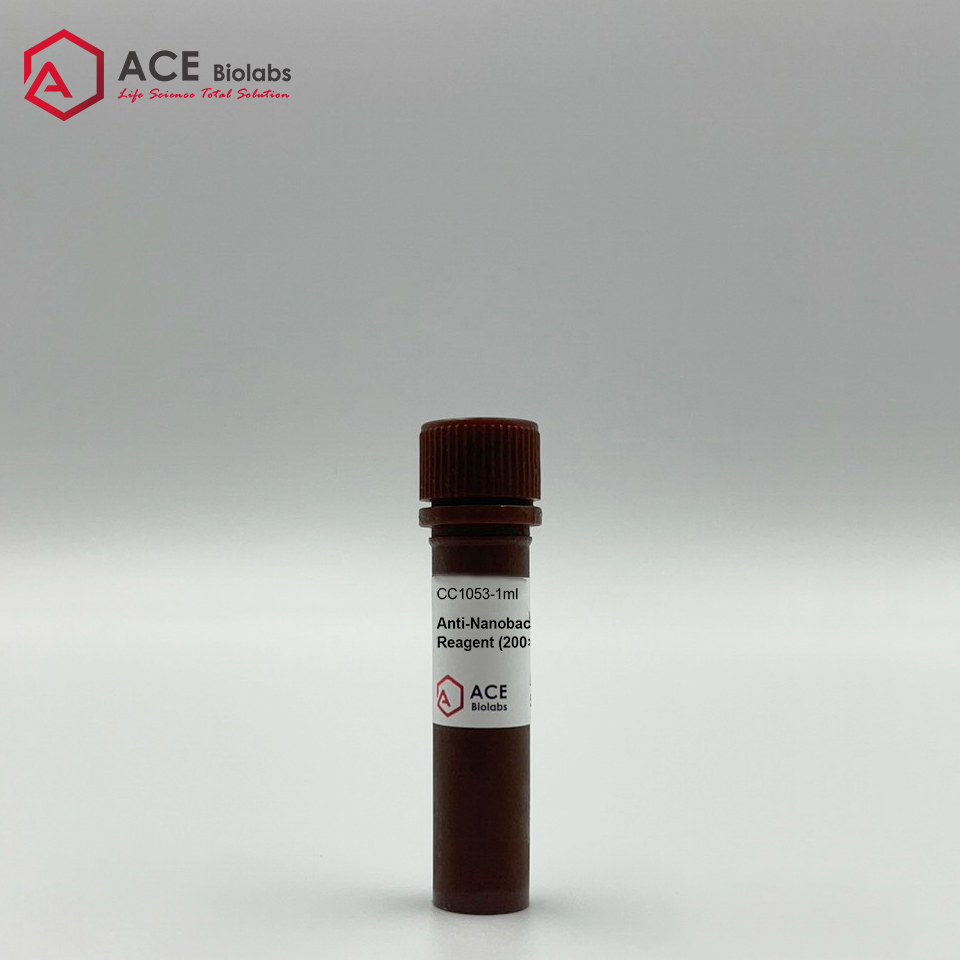 Anti-Nanobacteria Treatment Reagent (200×)