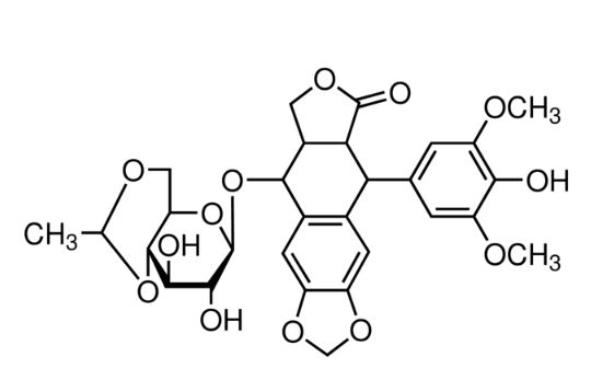 Etoposide