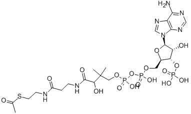 Acetyl coenzyme A sodium salt