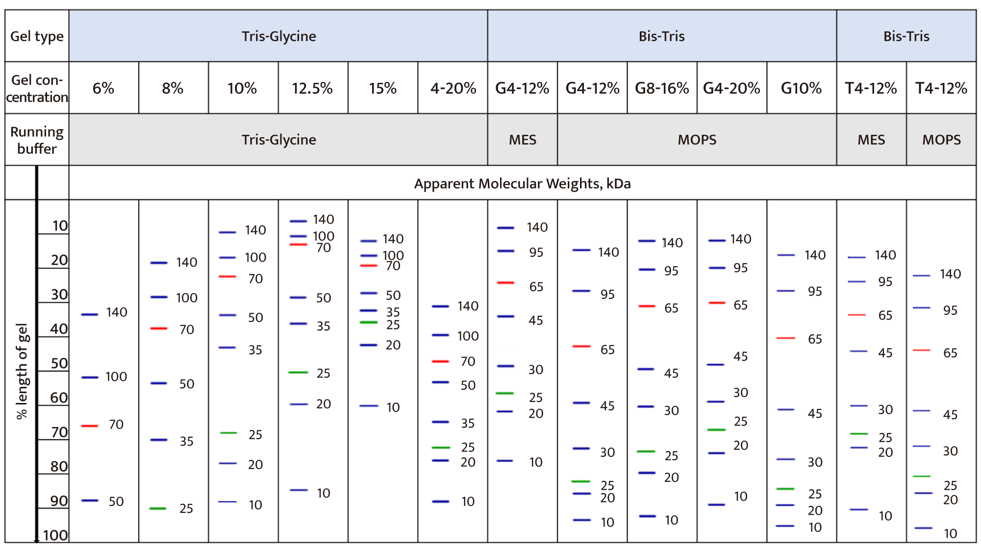 AceColor™ TriColor Prestained Protein Marker (10-140 kDa)